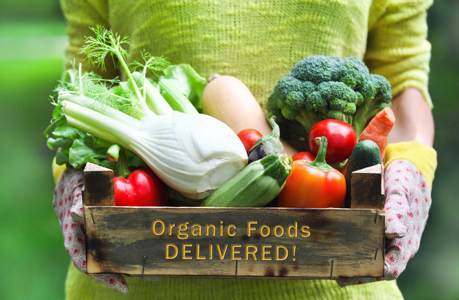FoodGarden